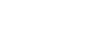 smart_Logo_horizontal_regular_N_rgb (2) (003)